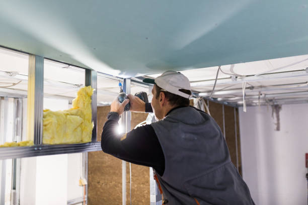 Best Spray Foam Insulation in North Sarasota, FL