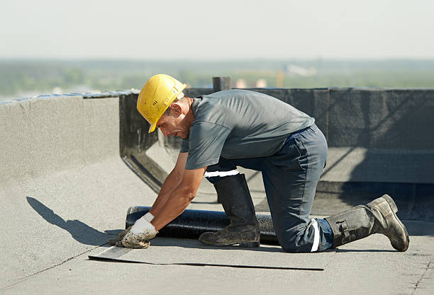 Best Fiberglass Insulation in North Sarasota, FL