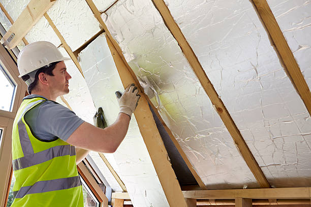 Best Fiberglass Insulation in North Sarasota, FL