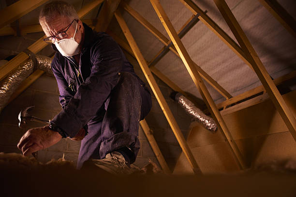 Best Cellulose Insulation in North Sarasota, FL