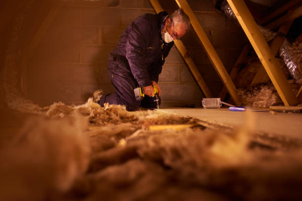 Best Energy Efficiency Insulation in North Sarasota, FL